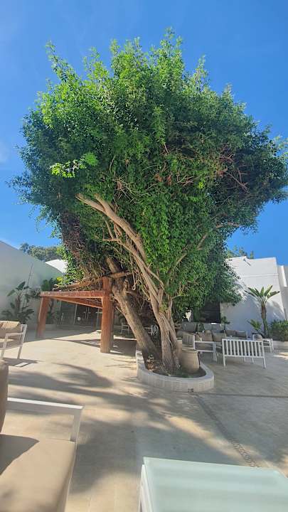 Gartenanlage The Sindbad