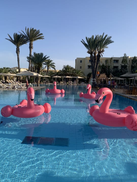 Pool Aldiana Club Djerba Atlantide
