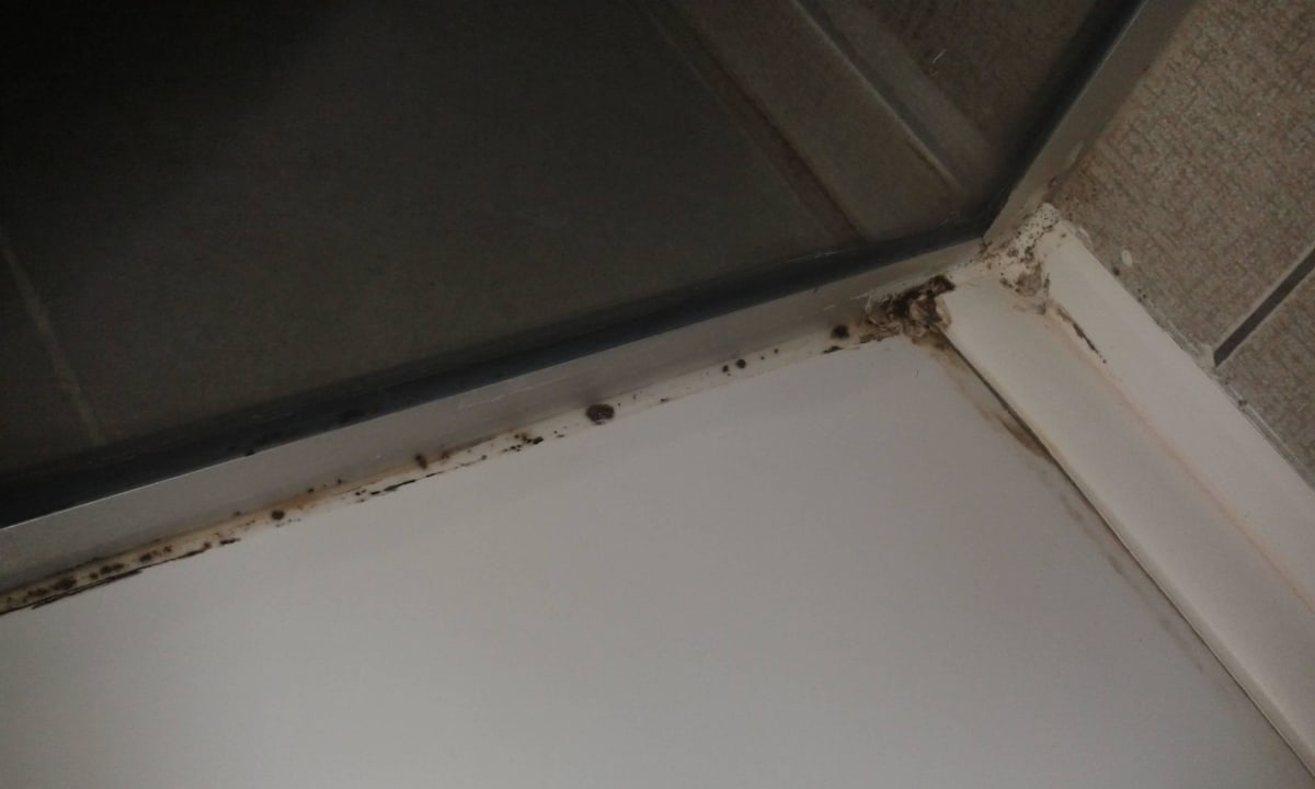 Bad Salamis Bay Conti Resort Hotel & Casino