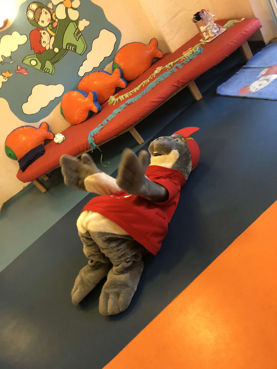 Sport & Freizeit ROBINSON NOBILIS