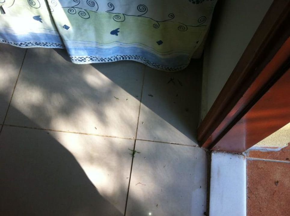 Frisch eingezogen und dann gleich der Schmutz Hotel Pine Bay Holiday Resort