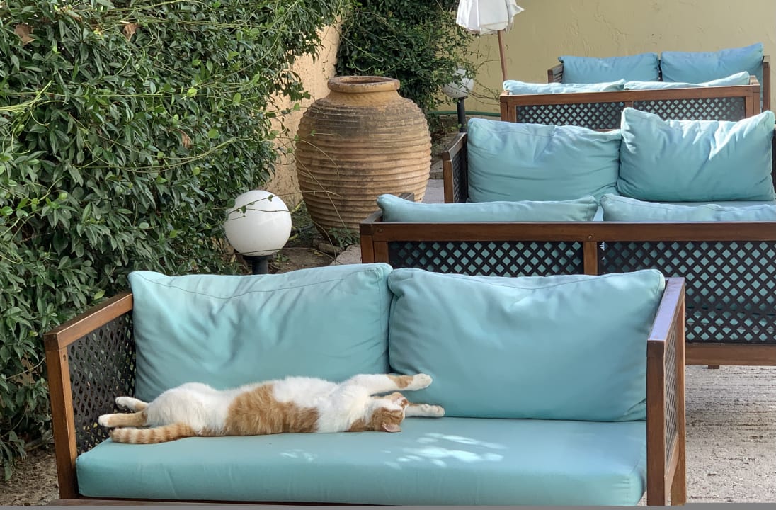 Gartenanlage Studios Nikiti Beach