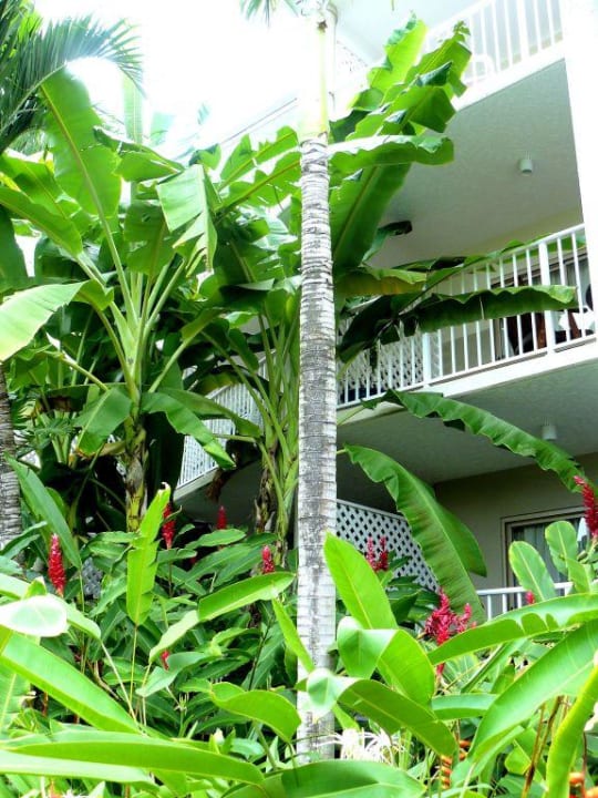 Das Cairns Beach Resort Hotel Cairns Beach Resort