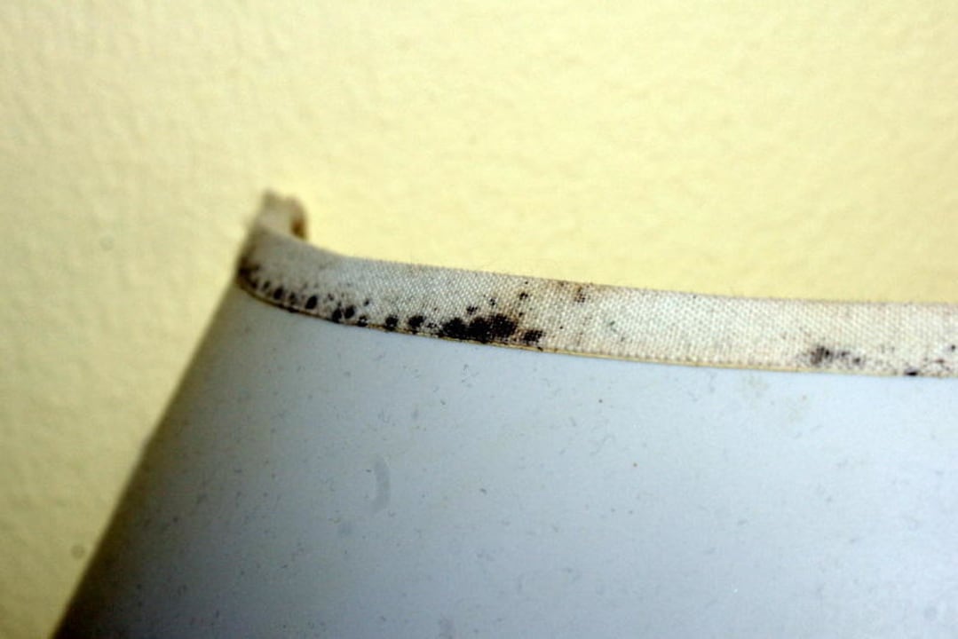 Nachttischlampe Hotel Riu Negril