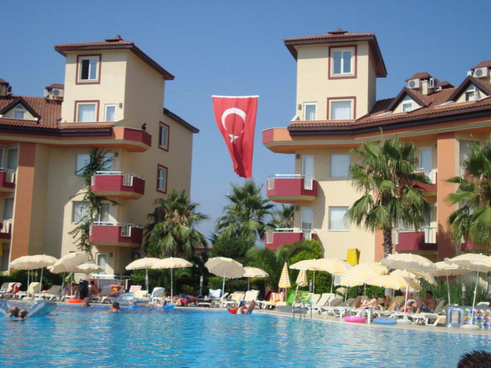 Poolanlage Hotel Orfeus Park