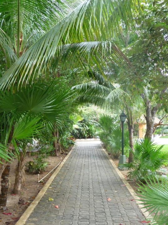Gartenanlage Hotel Riu Tequila