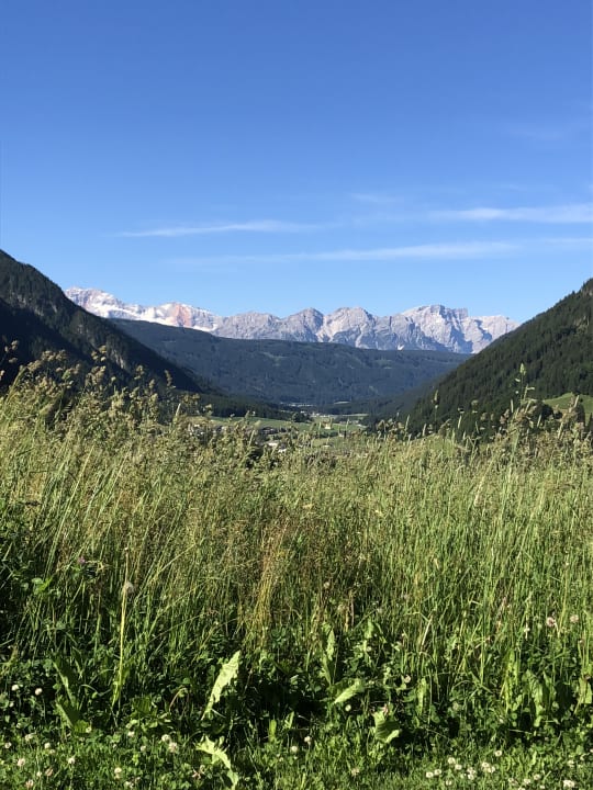 Ausblick Feldererhof - Urlaub am Bauernhof