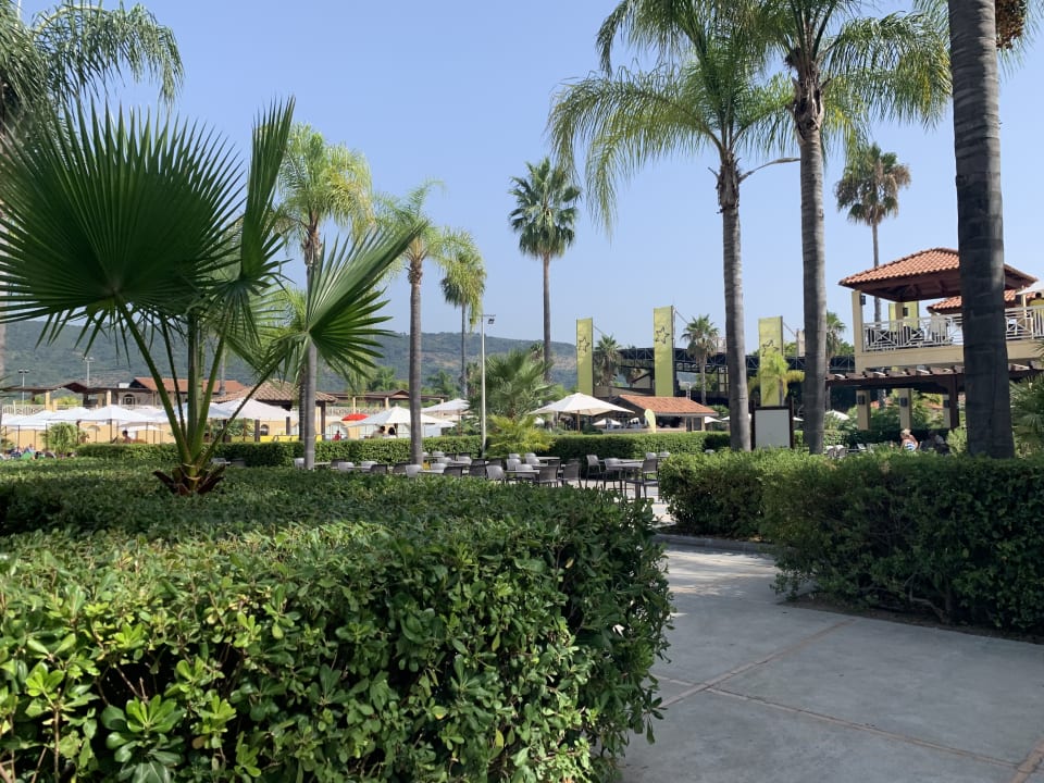 Gartenanlage TUI MAGIC LIFE Calabria