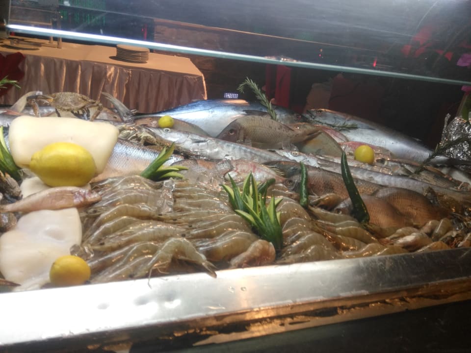 Gastro Stella Garden Resort & Spa, Makadi Bay