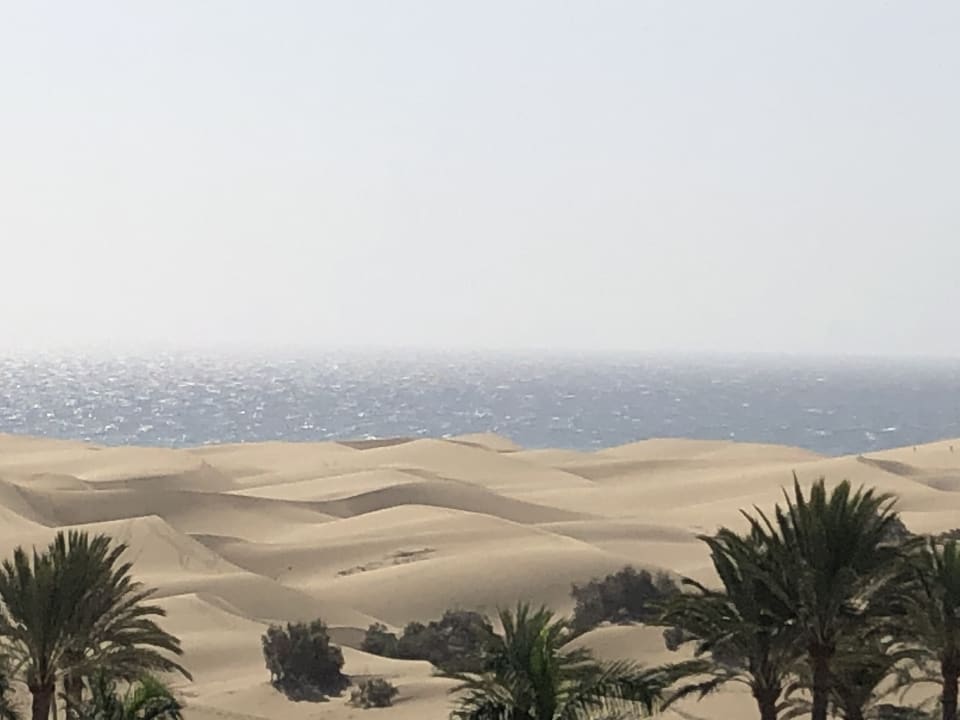 Ausblick Hotel Riu Palace Maspalomas Adults Only