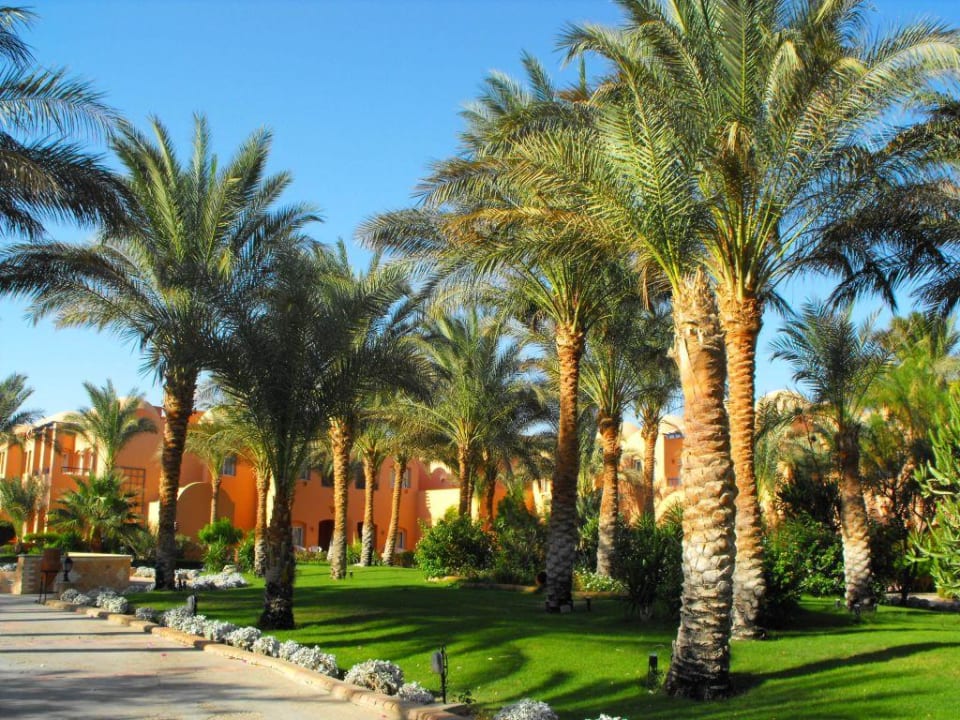 Ogród Jaz Makadi Oasis Resort