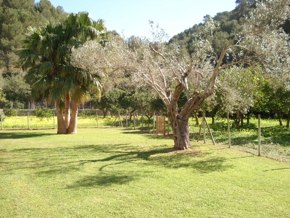 Im Garten Hotel Es Port