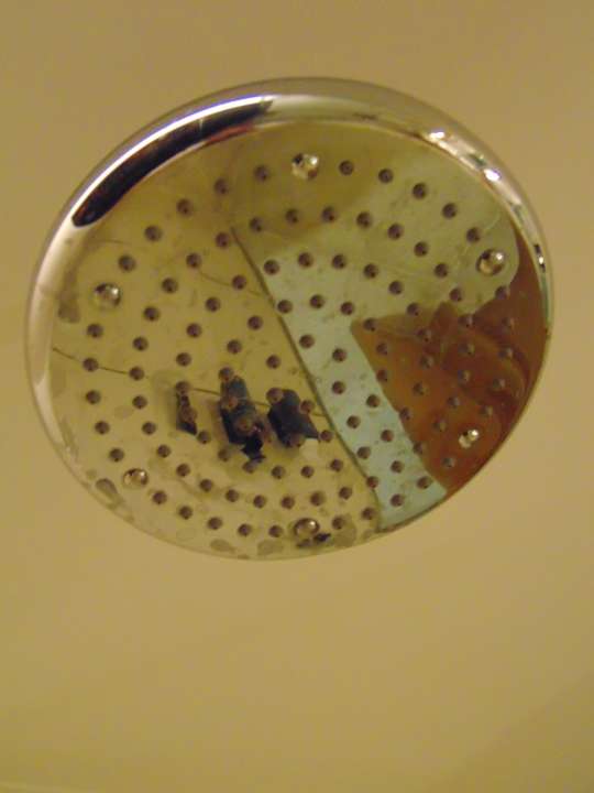 Zimmer Hotel The Westin Chennai Velachery