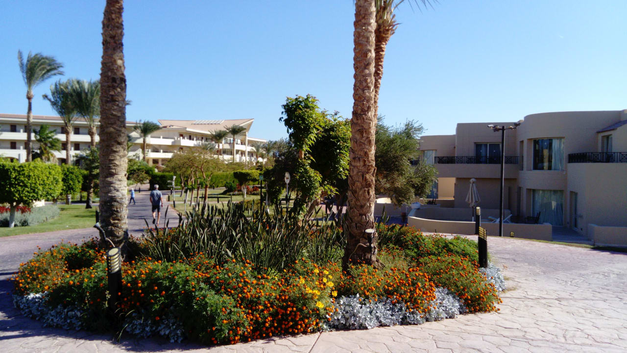 Gartenanlage Cleopatra Luxury Beach Resort Makadi Bay - Adults only