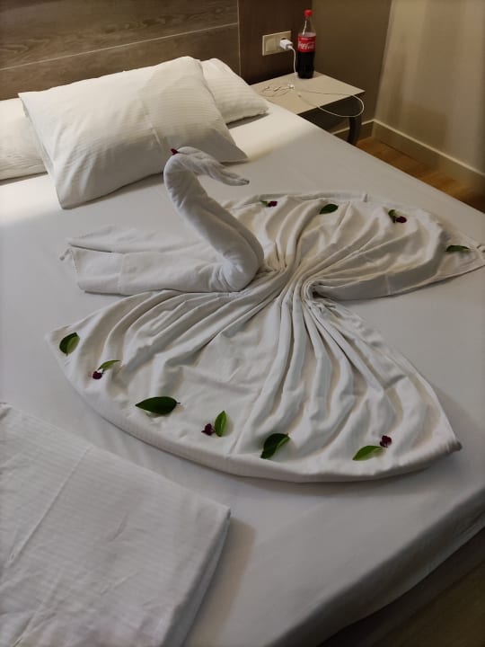 Zimmer Seaden Sea Planet Resort & Spa