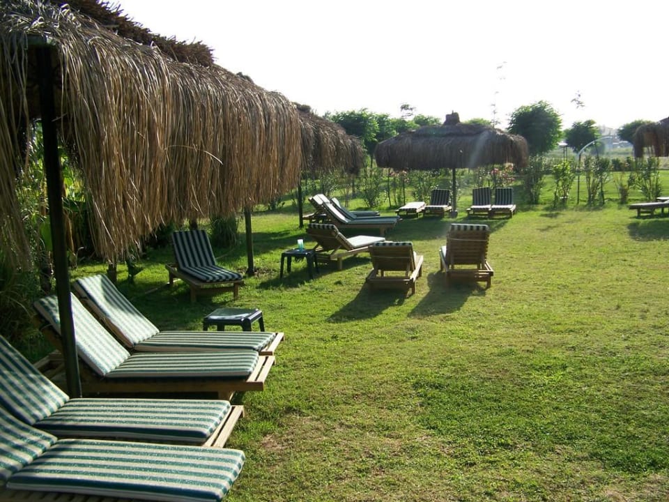 Die Liegewiese zum Entspannen Can Garden Resort