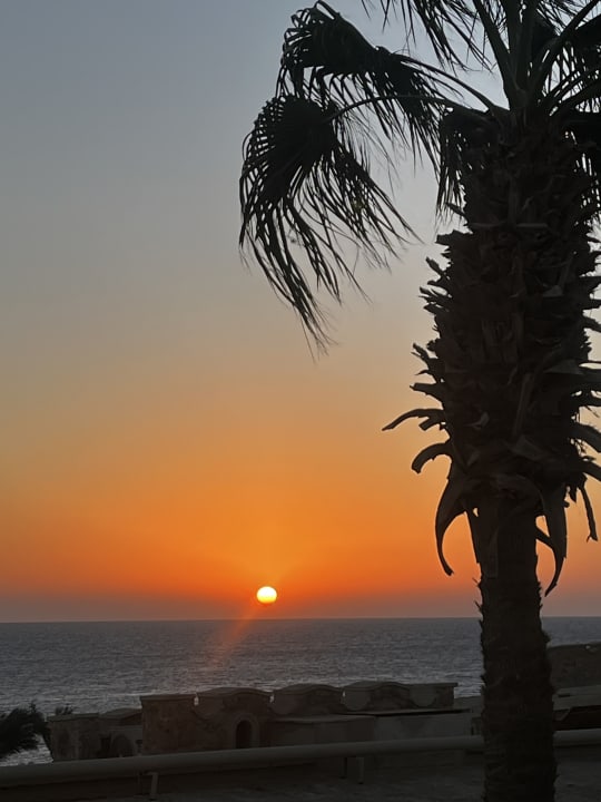 Strand Pickalbatros Citadel Resort