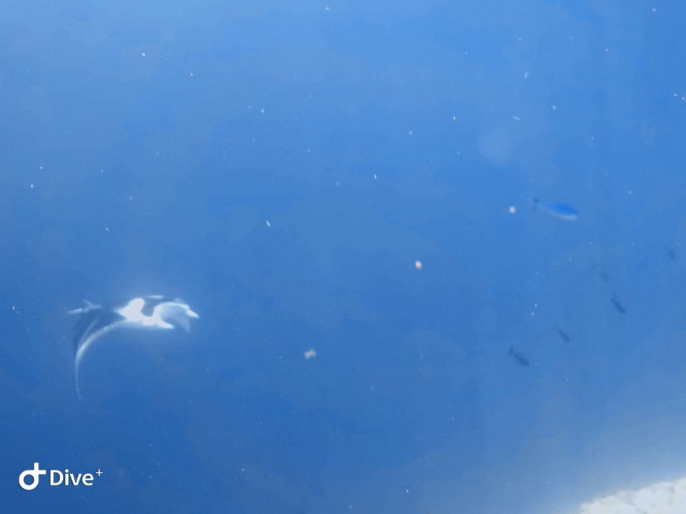 Sport & Freizeit Thulhagiri Island Resort