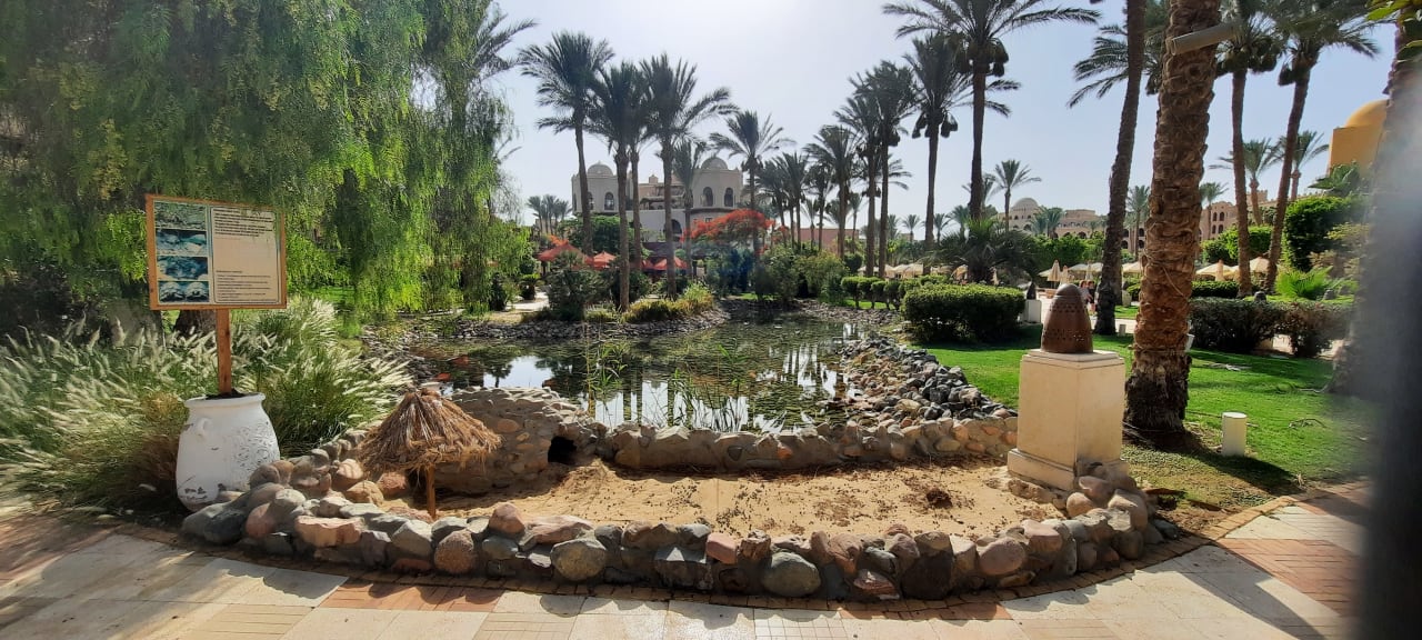 Gartenanlage Makadi Palace