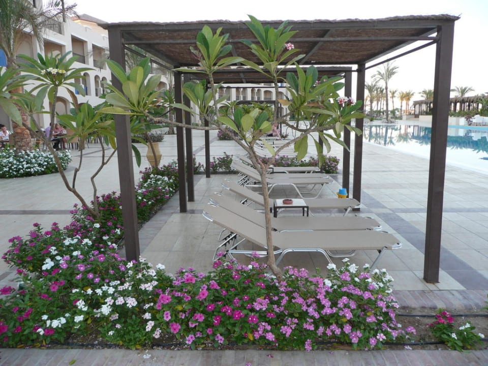 Schattenplatz am Pool JAZ Aquamarine Resort