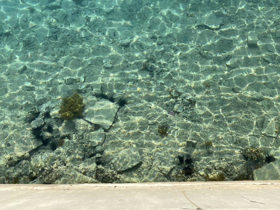 Strand Palm Beach Resort