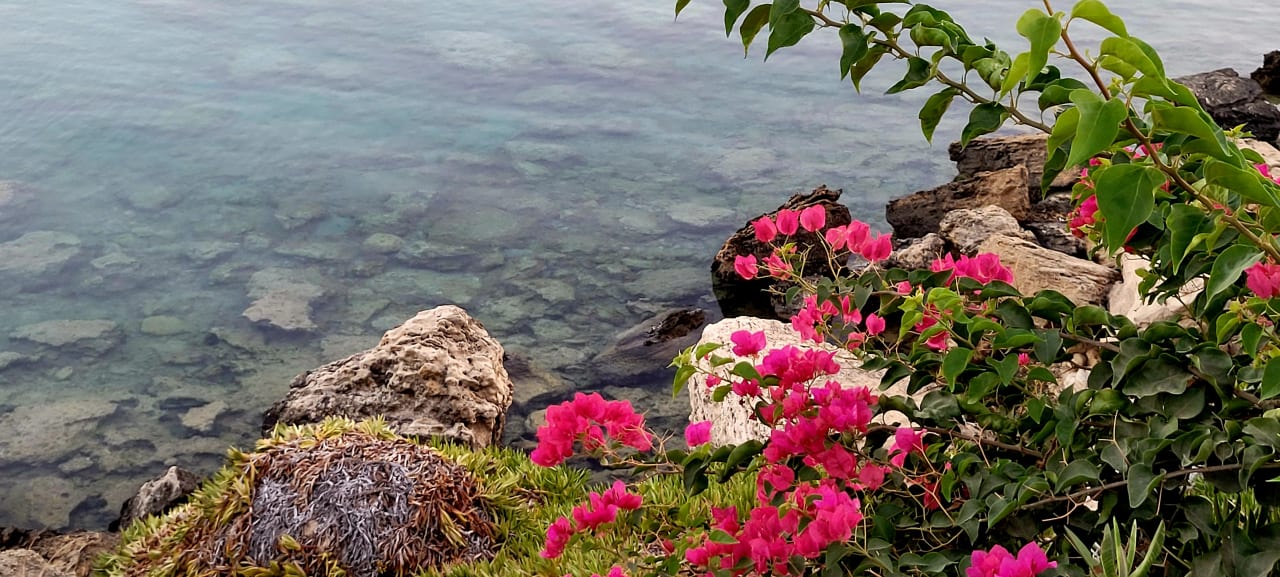 Strand Crystal Springs Beach Hotel