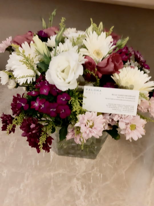 Sonstiges Balmy Foresta