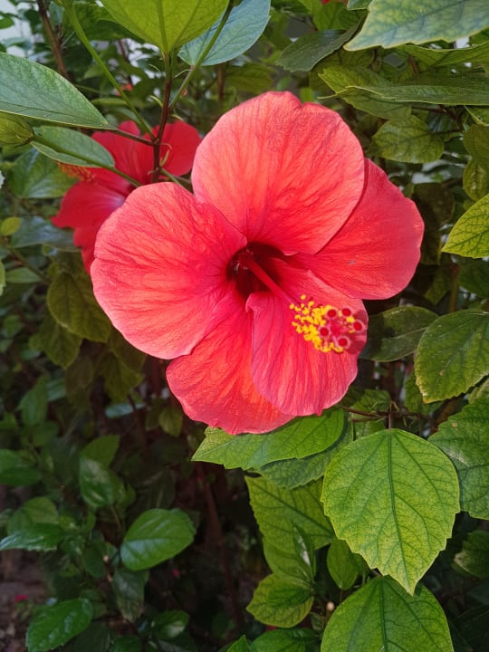 Gartenanlage VONRESORT Golden Beach