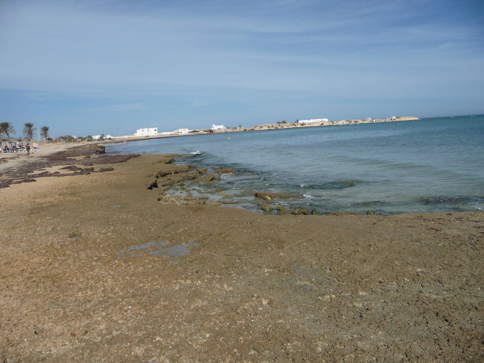 Ohne Schuhe....keine gute Idee Vincci Safira Palms