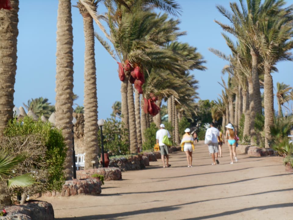Naar de marina pier  Arabia Azur Resort