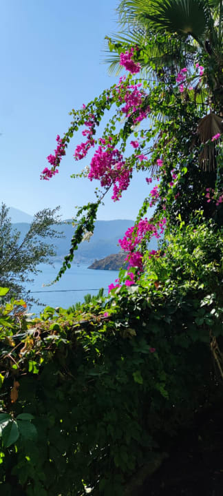 Gartenanlage Club & Hotel Letoonia