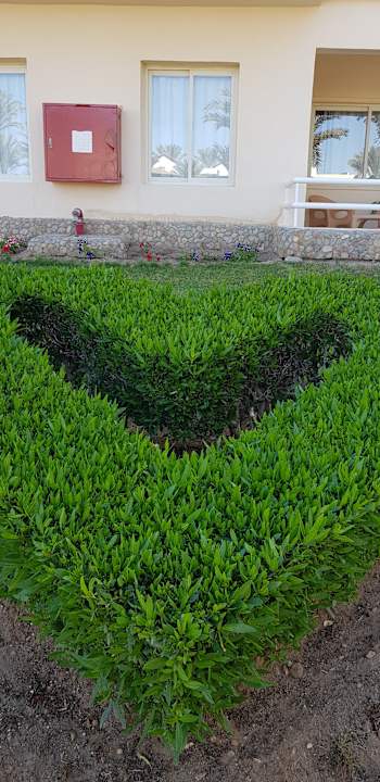 Gartenanlage Golden Beach Resort