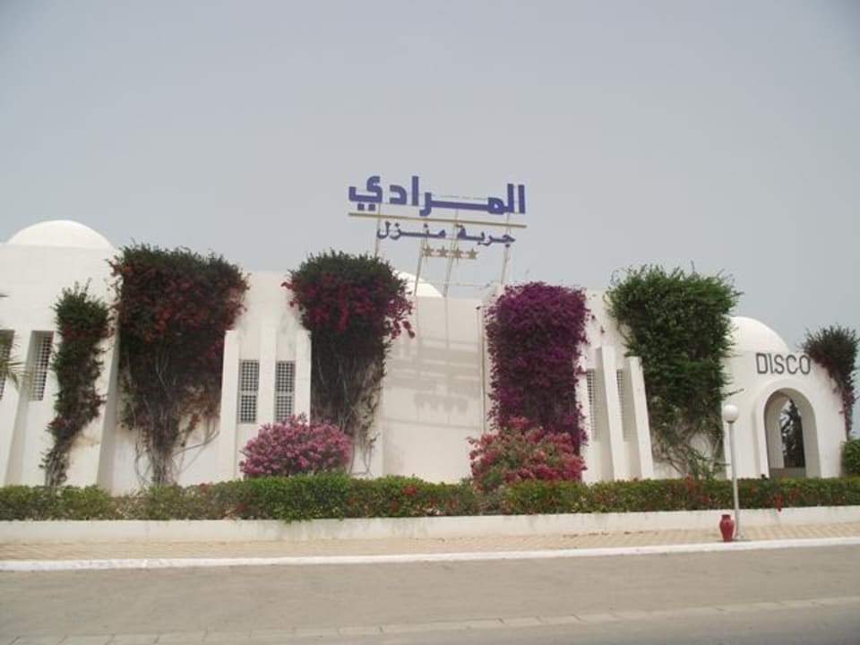 Die Hoteldisco Hotel El Mouradi Djerba Menzel