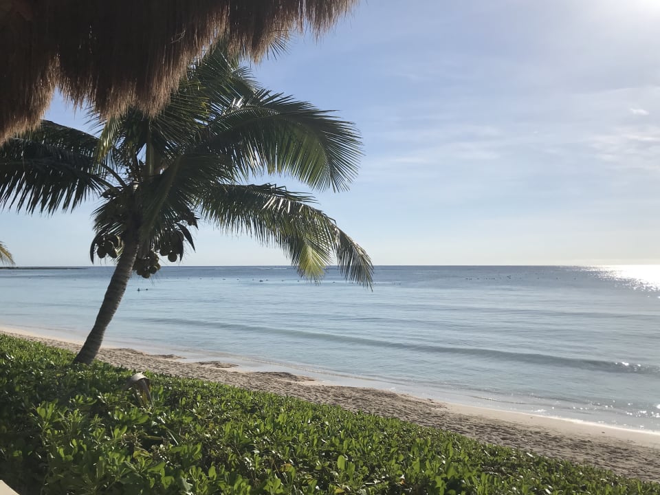 Ausblick Akumal Bay Beach & Wellness Resort