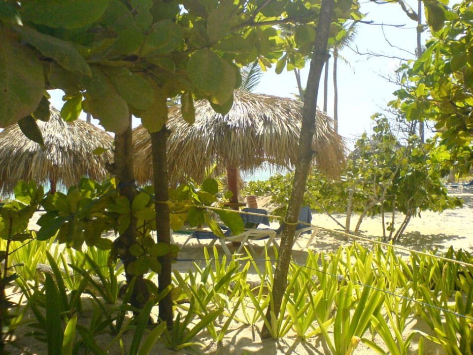 Traumstrand Grand Palladium Select Bávaro Resort & Spa