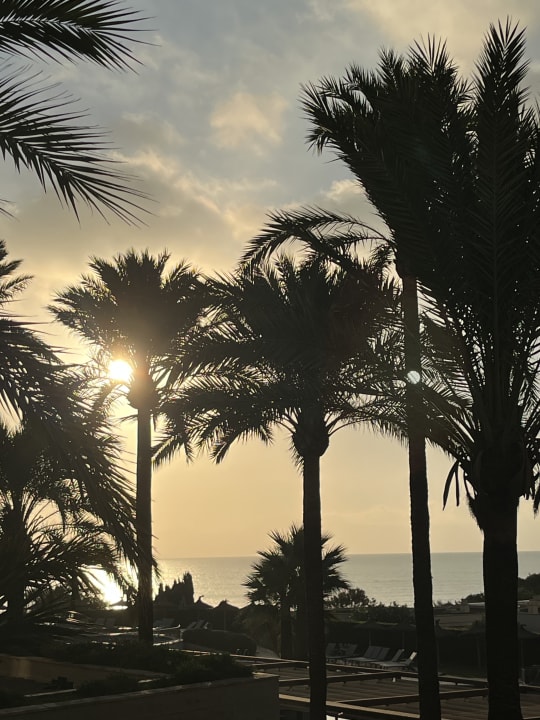 Ausblick Grupotel Natura Playa