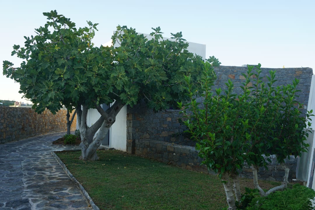 Gartenanlage Creta Maris Resort