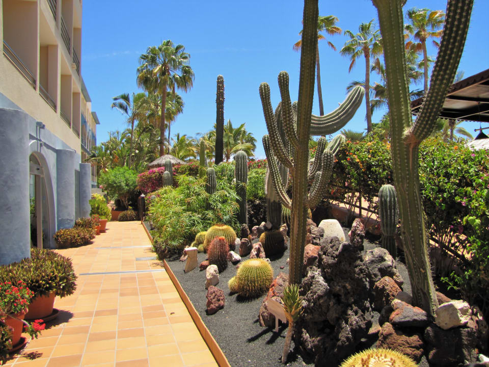 Garten IFA Altamarena by Lopesan Hotels