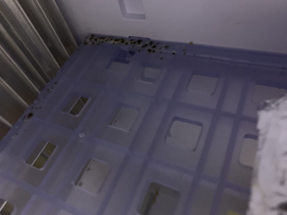 Zimmer Hotel Das Ludwig