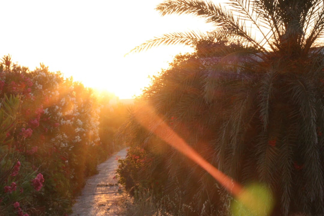Garten Knossos Beach Bungalows Suites Resort & Spa
