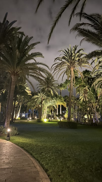 Gartenanlage Hotel Riu Palace Oasis
