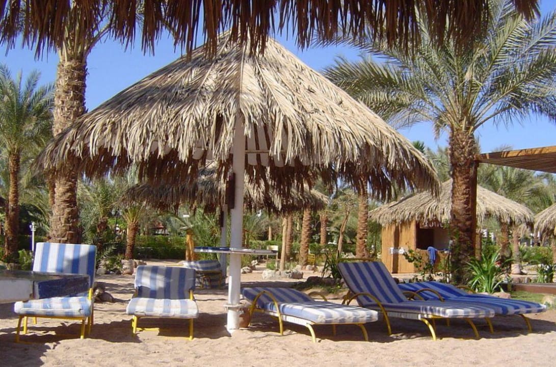 Viel Platz am Strand JAZ Fayrouz