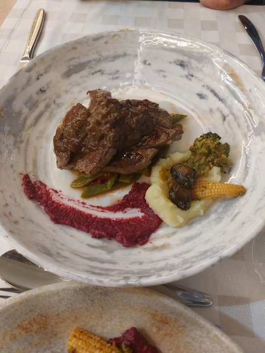 Gastro Seashell Vega