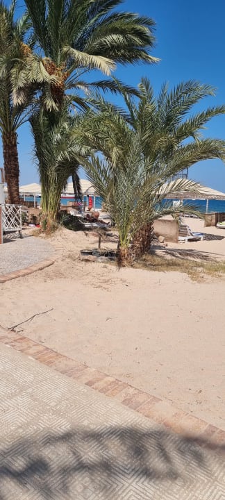 Strand Menaville Safaga