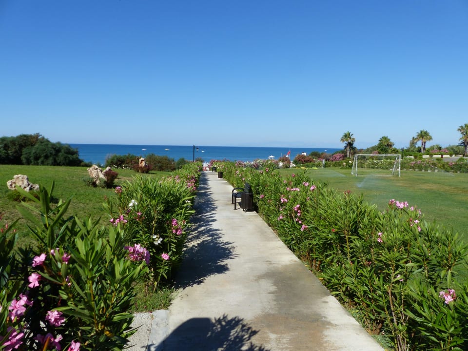 Weg zum Strand  Alba Queen Hotel