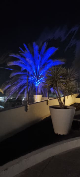 Ausblick allsun App.-Hotel Esquinzo Beach