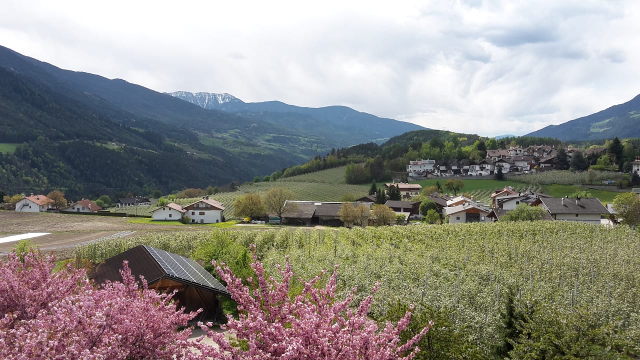 Ausblick vom Zimmer Das Mühlwald - Quality Time Family Resort