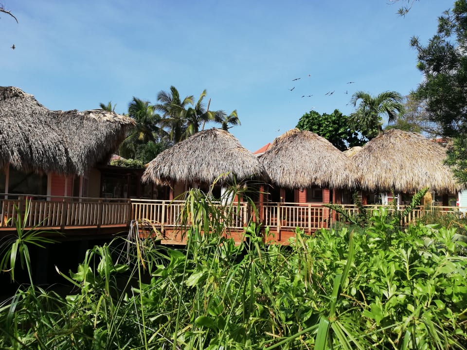 Außenansicht Hotel Viva Dominicus Palace by Wyndham-All Inclusive Resort