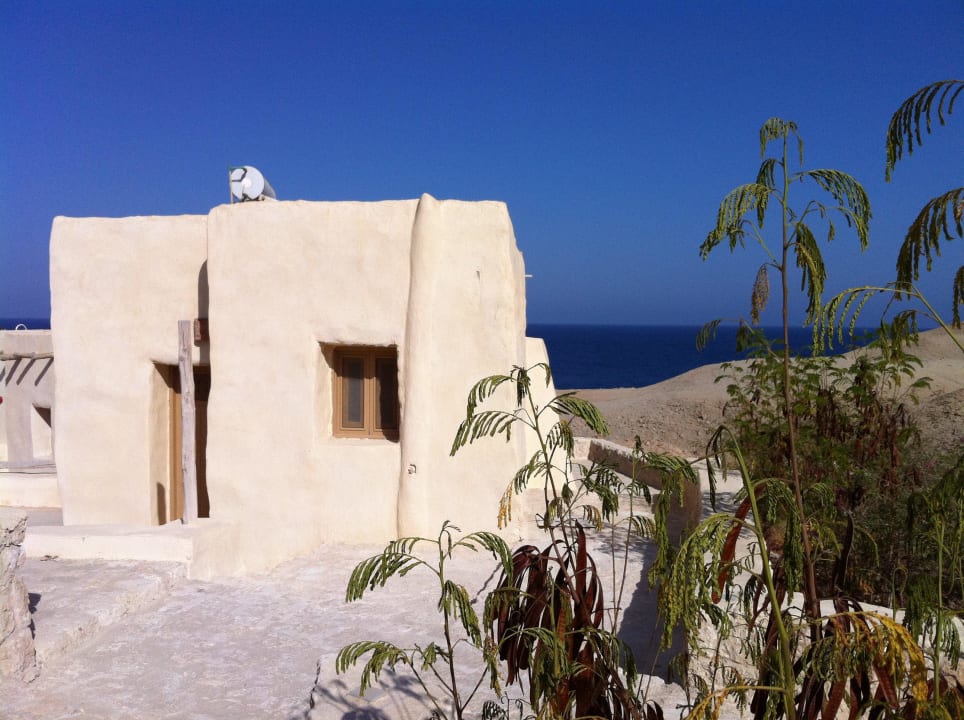 Zimmer von außen The Oasis Dive Resort