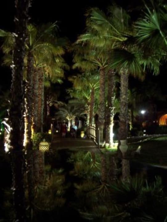Lichtspiel Steigenberger Marhaba Thalasso Hammamet